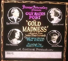 Gold Madness (1923) - Stream Online