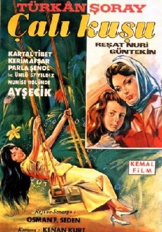 Çalikusu (1966) - Stream Online
