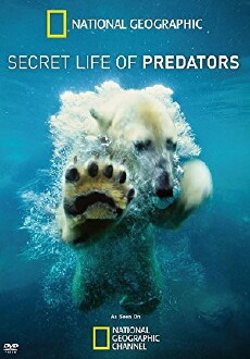Secret Life of Predators (2013) - Stream Online