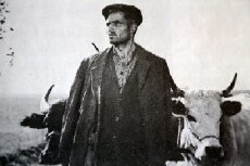 Unruhiger Weg (1955) - Stream Online
