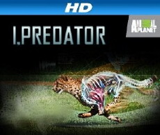 I, Predator (2011) - Stream Online
