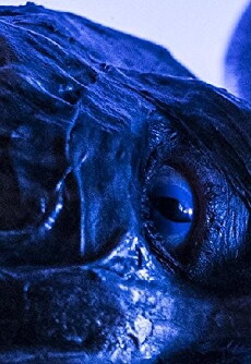 Crossbreed (2018) - Stream Online