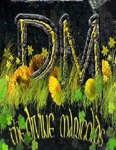 The Divine Marigolds (2011) - Stream Online