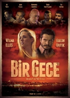 Bir Gece (2015) - Stream Online