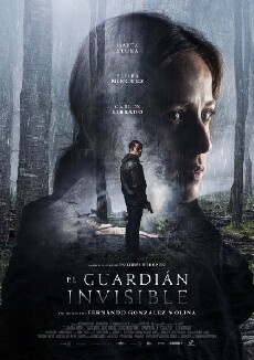 The Invisible Guardian (2017) - Stream Online