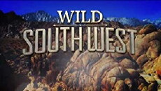 Wild South West (2018) - Stream Online
