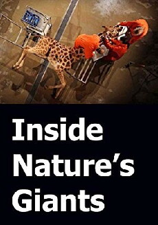 Inside Nature's Giants (2012) - Stream Online