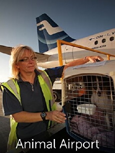 Animal Airport (2012) - Stream Online