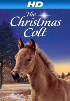 The Christmas Colt (2013) - Stream Online