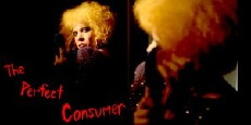 The Perfect Consumer (2016) - Stream Online