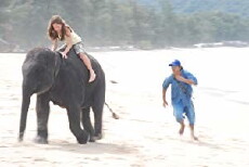 Hero Animals (2009) - Stream Online