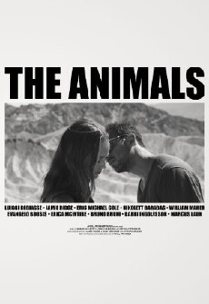 The Animals (2015) - Stream Online
