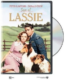 Son of Lassie (1945) - Stream Online