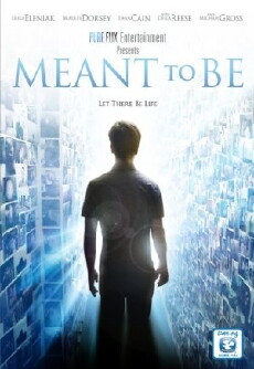 Meant to Be (2012) - Stream Online