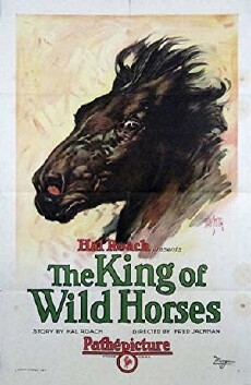 The King of Wild Horses (1924) - Stream Online