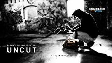 Paranormal Investigators Uncut (2016) - Stream Online