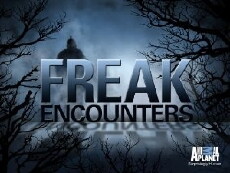 Freak Encounters (2010) - Stream Online