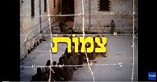 Braids (1989) - Stream Online