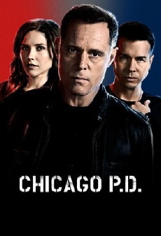 Chicago P.D. (2014) - Stream Online