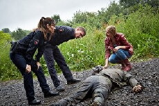 Friesland: Familiengeheimnisse (2015) - Stream Online