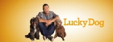 Lucky Dog (2013) - Stream Online