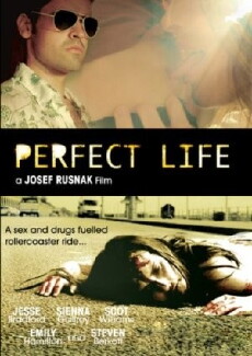 Perfect Life (2010) - Stream Online