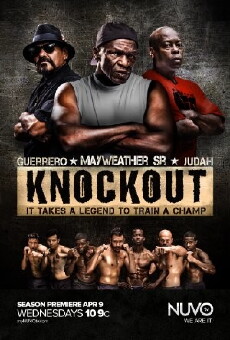 Knockout (2014) - Stream Online