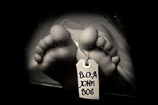 Vegas DOA (2014) - Stream Online