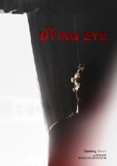The Dying Eye (2013) - Stream Online
