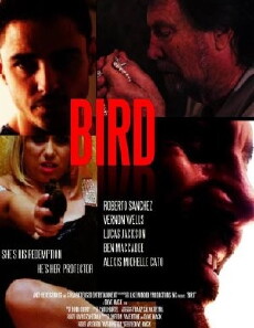 Bird (2019) - Stream Online