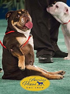 2018 American Rescue Dog Show (2018) - Stream Online