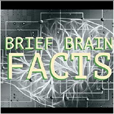 Brief Brain Facts (2018) - Stream Online