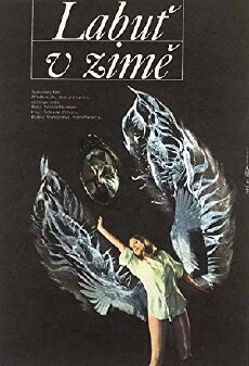 Ein Schwan im Winter (1983) - Stream Online