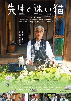 Teacher and Stray Cat (2015) - Stream Online