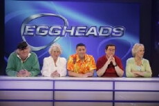 Eggheads (2003) - Stream Online