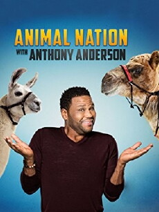 Animal Nation with Anthony Anderson (2017) - Stream Online