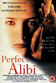 Perfect Alibi (1995) - Stream Online