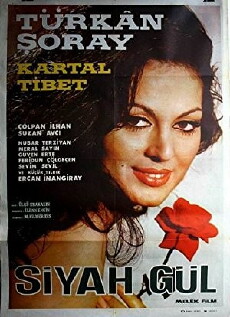 The Black Rose (1966) - Stream Online