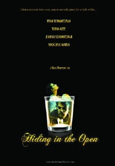 Hiding in the Open (2009) - Stream Online