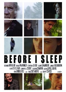 Before I Sleep (2013) - Stream Online
