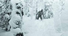 Russian Yeti: The Killer Lives (2014) - Stream Online