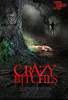 Crazy Bitches (2014) - Stream Online