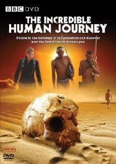 The Incredible Human Journey (2009) - Stream Online