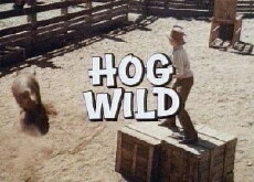 Hog Wild (1974) - Stream Online