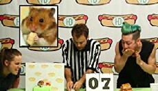 Tiny Hamster (2014) - Stream Online
