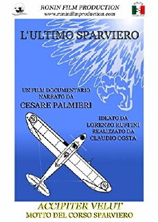 L'ultimo sparviero (2016) - Stream Online