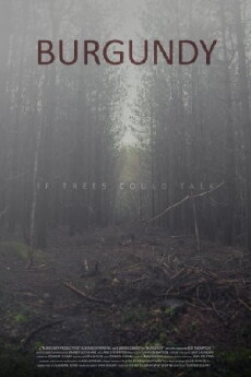 Burgundy (2017) - Stream Online