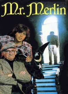 Mr. Merlin (1981) - Stream Online