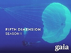 Fifth Dimension (2002) - Stream Online