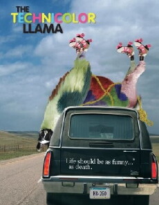 Technicolour Llama (2014) - Stream Online